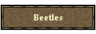 Beetles
