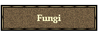 Fungi
