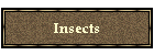 Insects