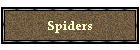 Spiders